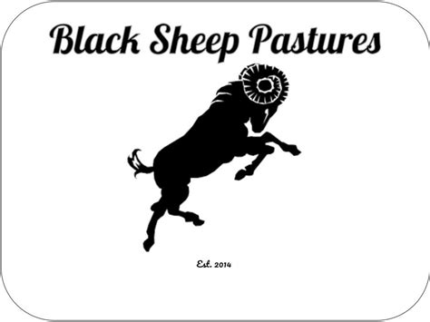 Homepage - Black Sheep Pastures