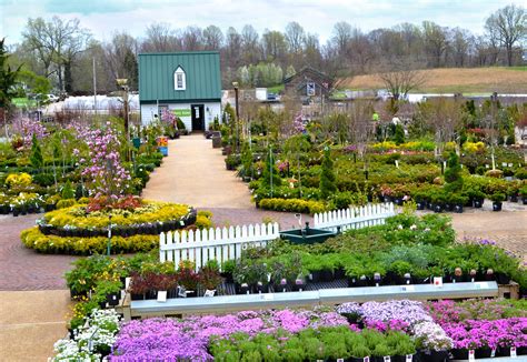 Homestead gardens. Things To Know About Homestead gardens. 