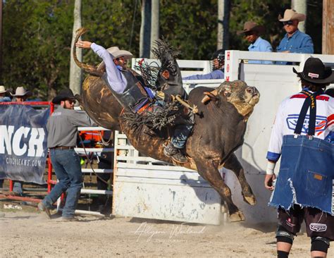 Homestead rodeo. Things To Know About Homestead rodeo. 