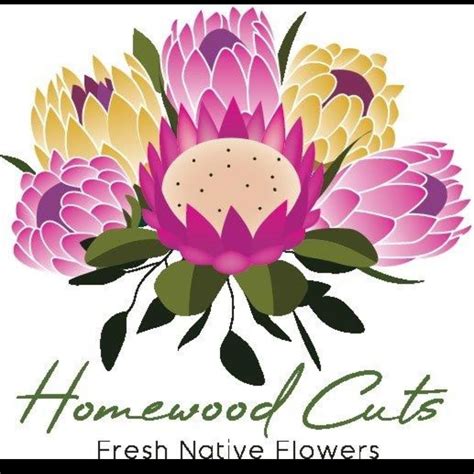 Homewood Cuts - facebook.com