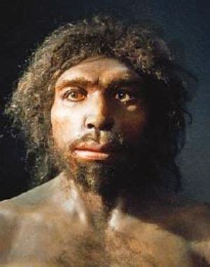 Homo antecessor - Wikipedia