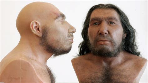 Homo sapiens und homo neogaeus aus der argentinischen pampasformation. - Manual de codigos kia sephia 98.