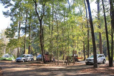 Homochitto national forest camping. . Forest Information The Homochitto...