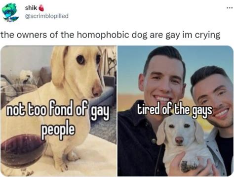 homophobic dog. @homophobedog. the dog is not gay right? Subscribe. Mar 17, 2022 • 8 tweets • 5 min read. the homophobic dog, a story 🧵. Read the latest Twitter threads from @homophobedog on Thread Reader App!. 
