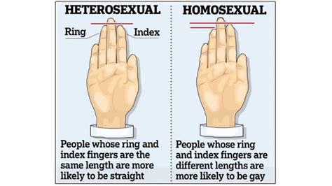 Homosexuality and Finger Length