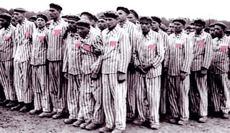 Homosexuals in the Holocaust