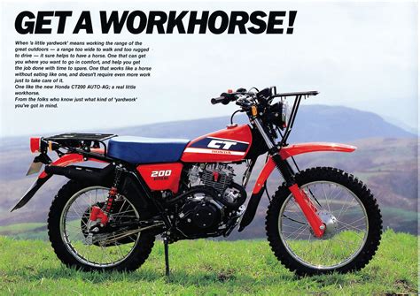 Honda ct 200 auto ag owners manual. - Hedge witch guide to solitary witchcraft.