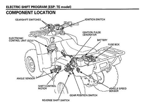 Honda foreman 450 atv parts manual. - Civil war study guide answer key.