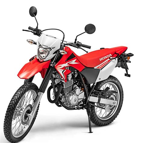 Honda xr 250 tornado workshop manual. - Ladders trampolines anecdotes and observations from a contemporary young african marketer.