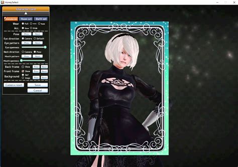 Honey Select Character Card Mod Belajar