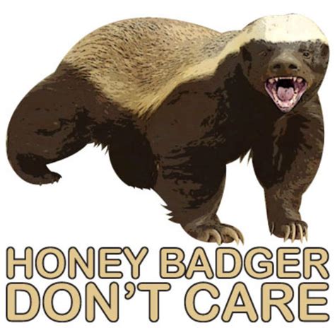 Honey badger dont care. Jul 30, 2018 · Honey Badger may not care, but the man behind a viral YouTube video featuring the animal on Monday won another chance to make greeting card companies care about his trademark lawsuit. Reversing a ... 