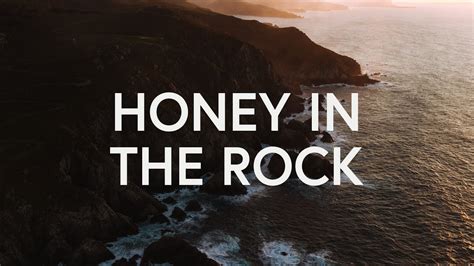 Honey in the rock. Monkey adaptations include their anatomy, behavior and use of tools. Specific adaptations depend on the species. For instance, capuchin monkeys, common chimpanzees, bonobos and ora... 
