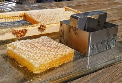 Honeycomb for sale. The most nutritious of all raw honey is honey still sealed in the wax cells of the honeycomb. ... On Sale from £19.99. Superfood Raw Honey Bundle. 11 reviews. On ... 