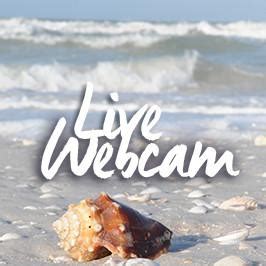 Honeyimon Onlyfans Leak XxX 🍆 219 Pics