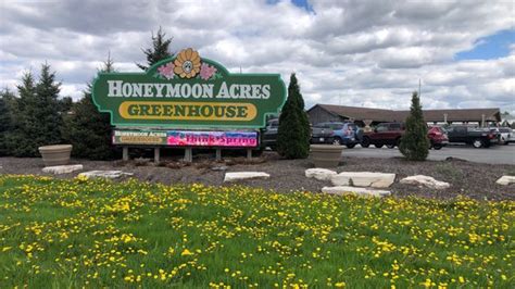  Ollie and Ace are the pups of Honeymoon Acres. You may see them romping around welcoming you to greenhouse heaven. ... 2600 Calumet Drive New Holstein, WI 53061. P.O ... . 