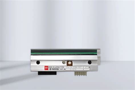 veodersti.rgarabwor.edu.pl. 