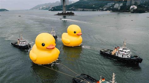 Hong Kong’s famous rubber duck returns — and now there are two