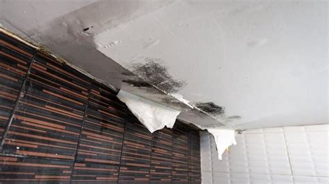 Hongkong hari ini 27 mei 2019. Atap rumah bocor masuk.