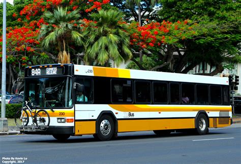 Starting April 1 st, there will be a limited supply of 1-day Passes on board buses and paper passes at retailers. Starting July 1, 2021, paper Monthly TheBus Passes and the 1-Day Pass will no longer be available for purchase. Riders will instead need to have a HOLO electronic fare card with money or a pass loaded on the card.. 