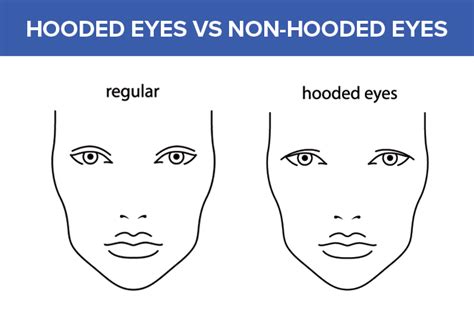 Hooded eyes vs non hooded. Hooded eyes are an eye shape where excess skin and soft tissue around the eyebrow covers the eyelid, but not the eye itself. The condition is so-called because the … 