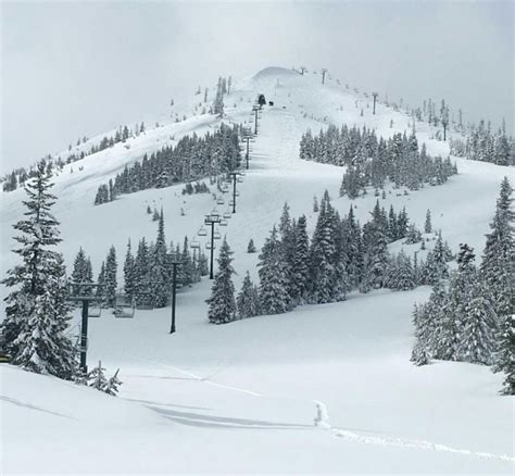 Hoodoo ski oregon. 0:35. Hoodoo Ski Area will expand its age for free skiing next season to 10 years old and under, in another sign that slopes near the Willamette Valley are doubling-down on families and ... 