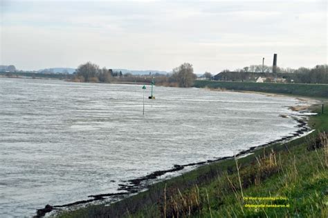 Hoogwaterbericht Maas