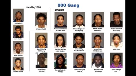 Dozens of law enforcement officers from the NYPD, the Brooklyn DA's office, federal agencies, and other departments rounded up 18 suspected gang members, …. 