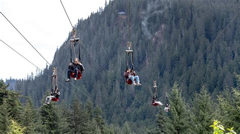 Alaskan sized adventure! This is it, the world's largest zip-line: 5,330 feet long, 1,300 foot vertical drop, 60 mph maximum speed, 300 feet highest point from ground, 1.5 minute ride time! If you are looking for true adventure then the ZipRider is for you. Unlike anything you've seen before the ZipRider cable ride at Icy Strait Point is truly a once in a lifetime experience. Your adventure .... 