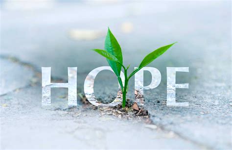 Hope & faith for amare. Hope & Faith 4 Amare & Family. $960,843. raised of $120,000 goal ... 