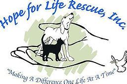 Hope for life rescue. Dec 14, 2021 · Hope For Life Rescue ... All donations come back the rescue and will help us continue to.... All reactions: 44. 2 comments. 10 shares. Like. Comment. 