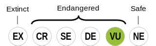 Hopi (langue) — Wikipédia