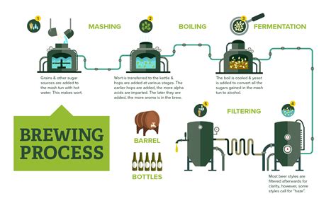 Hopping Methods In All Stages of Brewing MoreBeer