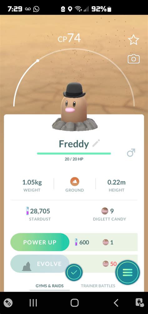 Hor Halı ve Koltuk Yıkama