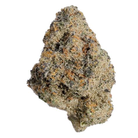 Nepenthe Horchata Flower is a hybrid strain testing at 28.7% THC. Horchata is high in the terpenes Caryophyllene, Limonene, Bisabolol and Humulene. You could expect a very energetic high from this .... 