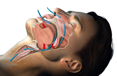 codini.rgarabwor.edu.pl. 