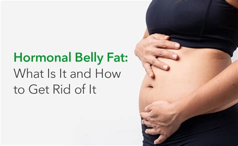 Hormonal Belly Fat: What Is It, What Causes It and How Do You …