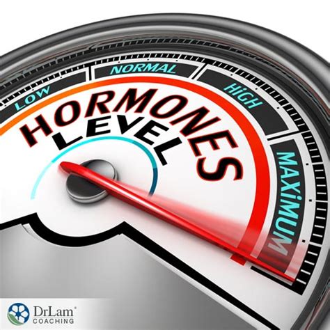 Hormone Permissiveness and Stress: The Harsh …