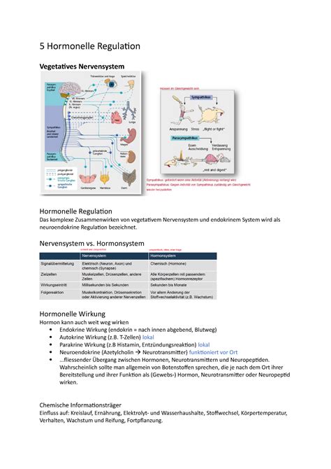 Hormonelle Regulation - Nervensystem vs. Hormonsystem …