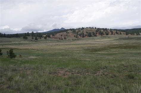 Hornbek Homestead Trail COTREX - trails.colorado.gov