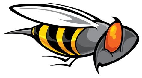 Hornet Vector Art Stock Images Depositphotos