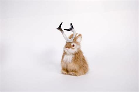 Hornn bunny com. Go Bunny，够学术！BunnyScholar提供一站式学术写作、翻译服务，让您的语言轻松学术范。BunnyScholar适用于各学科领域，支持中英文写作，是您学术研究和论文写作的得力助手。 