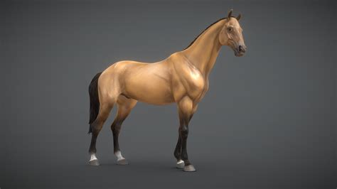 Horse 3D Model for 3D Printing / SANIX 3D Designer