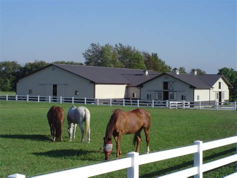 Horse Boarding in Medina Ohio - Equine Now