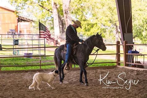 Horse Boarding in Penn Valley, California (Nevada County) - NewHorse.com