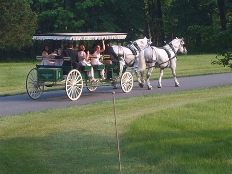 Horse Carriage Rentals in Philadelphia Pennsylvania