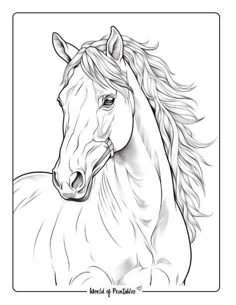 Horse Coloring
