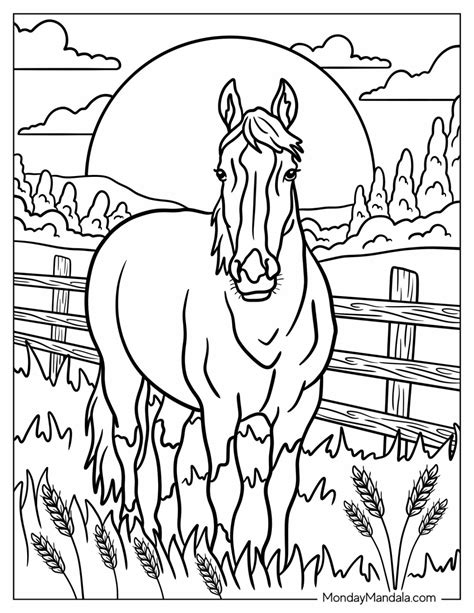Summer Coloring Pages Kids