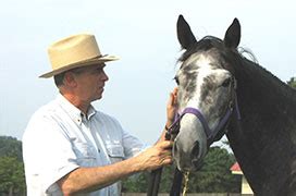 Horse Genome Project - Cornell University College of Veterinary …