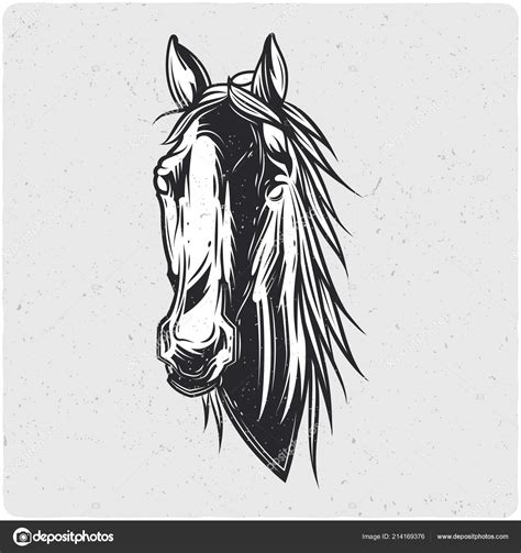 Horse Head Black White Illustrations & Vectors