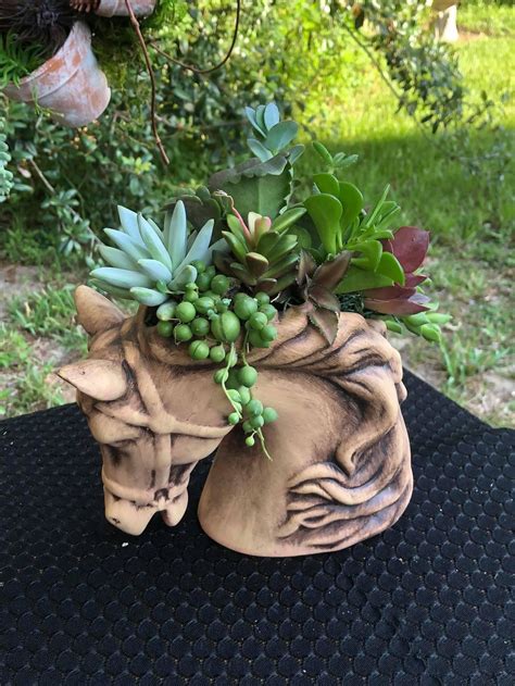 Horse Head Planters - Etsy